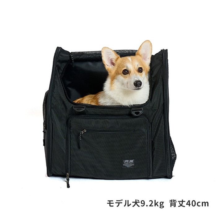 LIFELIKE �饤�ե饤�� �ե�����ɥ����Хå��ѥå�