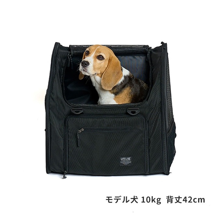 LIFELIKE �饤�ե饤�� �ե�����ɥ����Хå��ѥå�