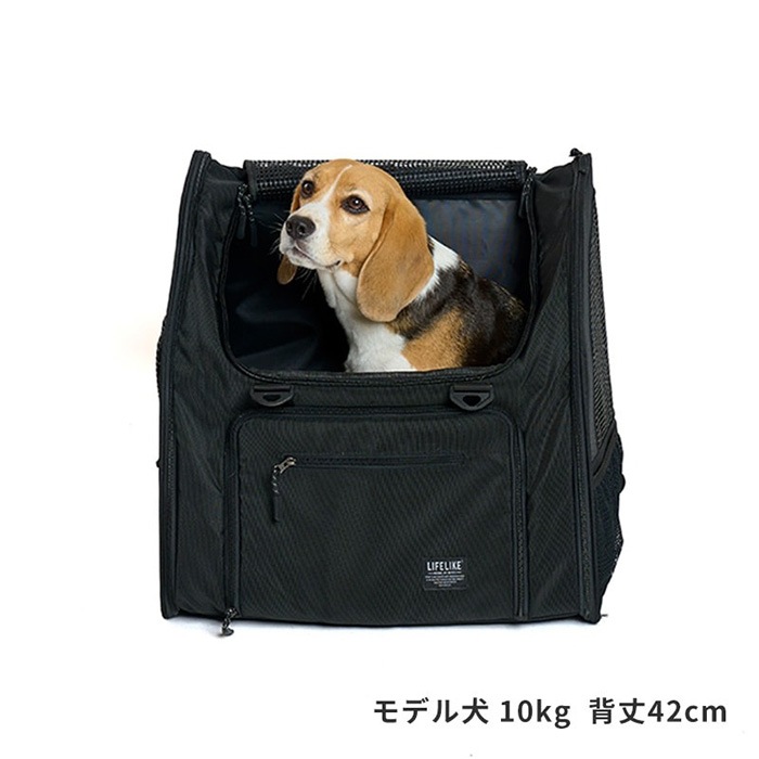 LIFELIKE �饤�ե饤�� �ե�����ɥ����Хå��ѥå�