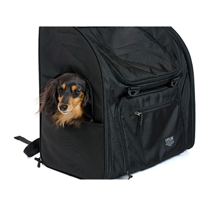 LIFELIKE �饤�ե饤�� �ե�����ɥ����Хå��ѥå�