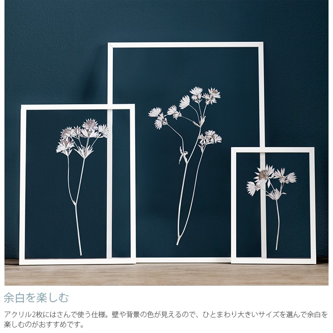 MOEBE ࡼ FRAME ե졼 A2