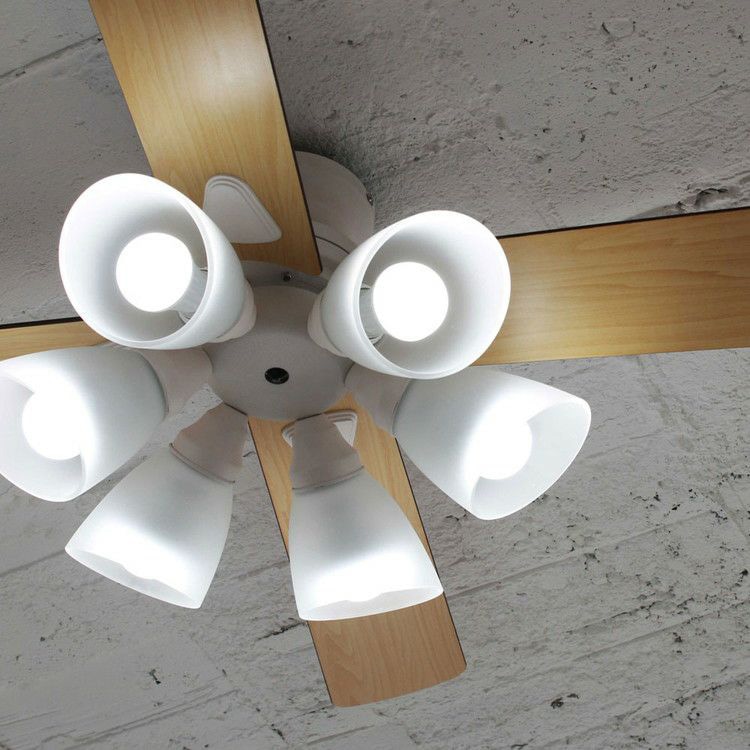 plus more プラスモア シーリングファン Windouble 6灯 | 商品種別