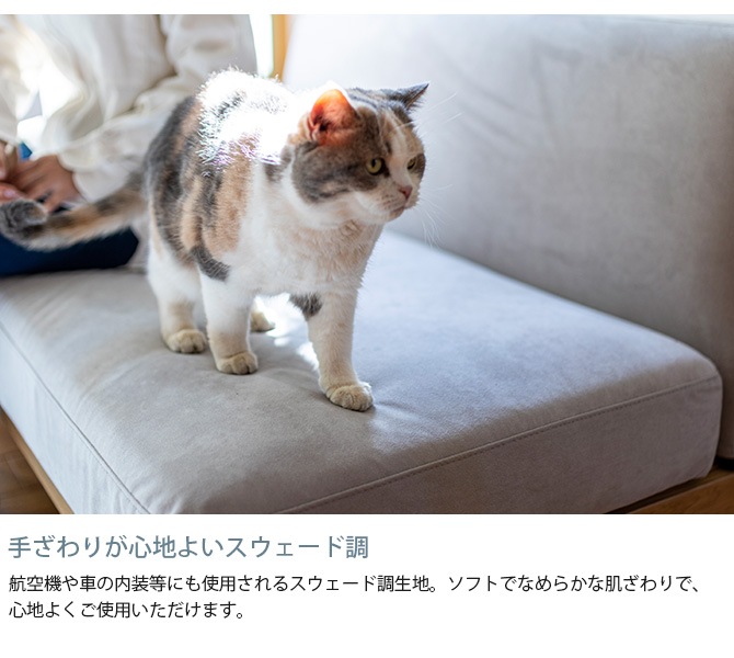 Fumi �ե� ���å����Ǥ��Ĥ������ե� ���� �ڥå��б��Ǻ� ���ѥ��С� �����������