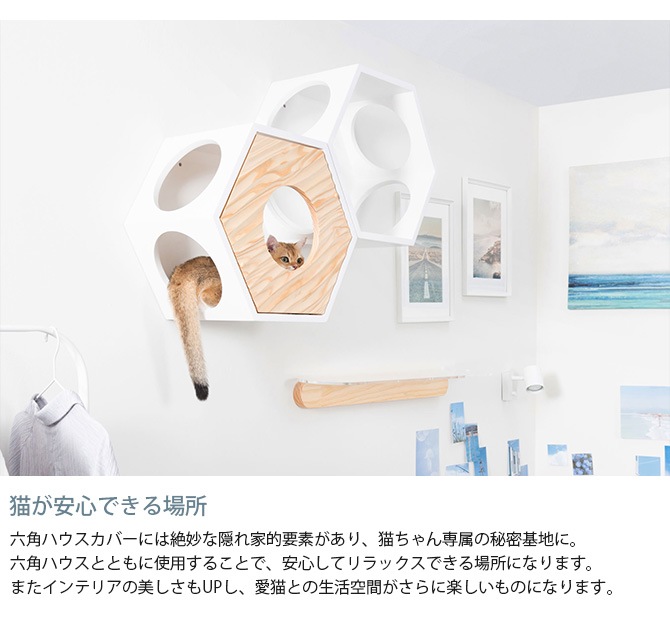 MYZOO �ޥ����� Busy Cat���� COVER WAVE ���С���������