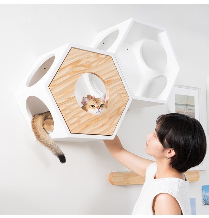 MYZOO �ޥ����� Busy Cat���� COVER WAVE ���С���������