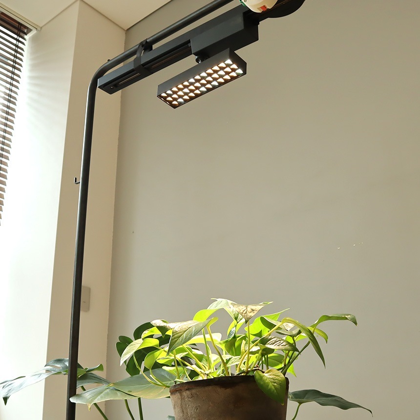 BRID �֥�å� LED ��ʪ�����饤�� 30W