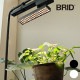 BRID �֥�å� LED ��ʪ�����饤�� 30W