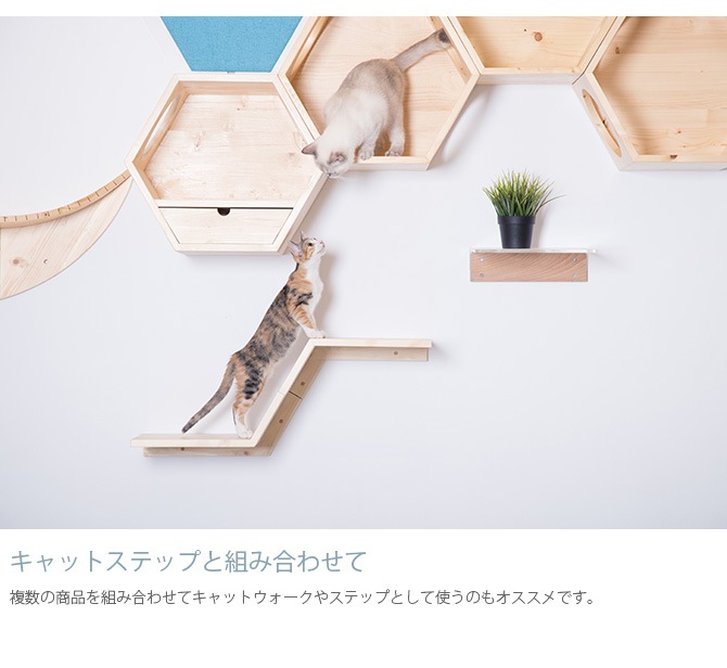 MYZOO �ޥ����� Zone ����åȥ��ƥå�