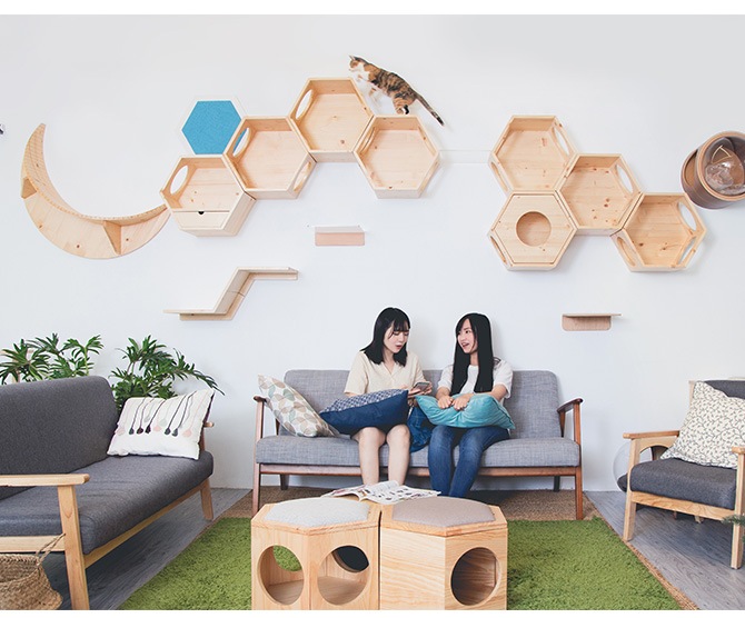 MYZOO �ޥ����� Zone ����åȥ��ƥå�