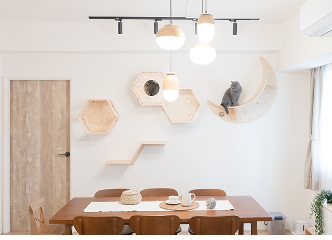 MYZOO �ޥ����� Zone ����åȥ��ƥå�