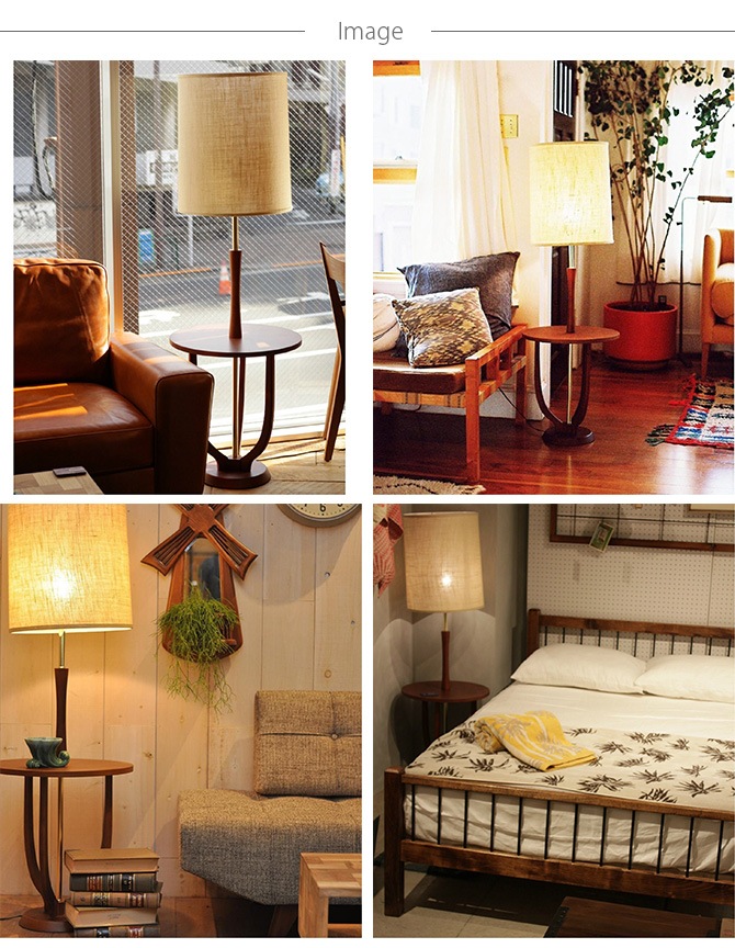 ACME Furniture ������ե��˥��㡼 DELMAR �ե�������