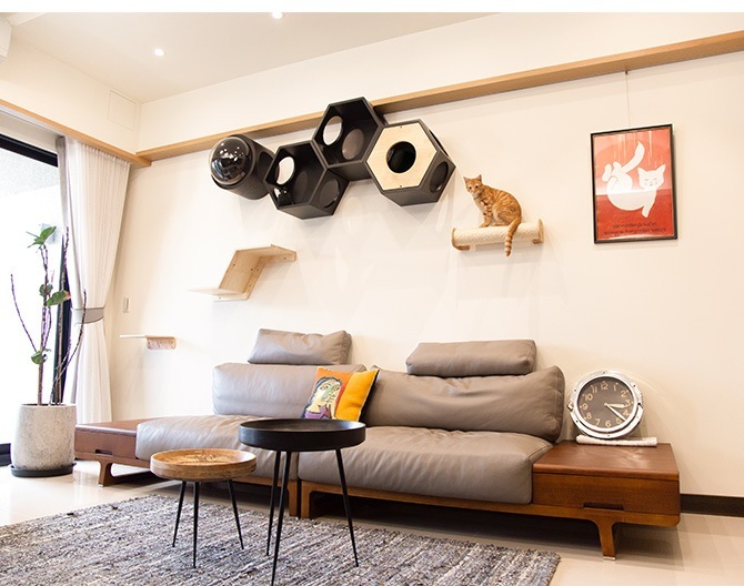 MYZOO �ޥ����� Busy cat ϻ�ѥϥ��� �֥�å�