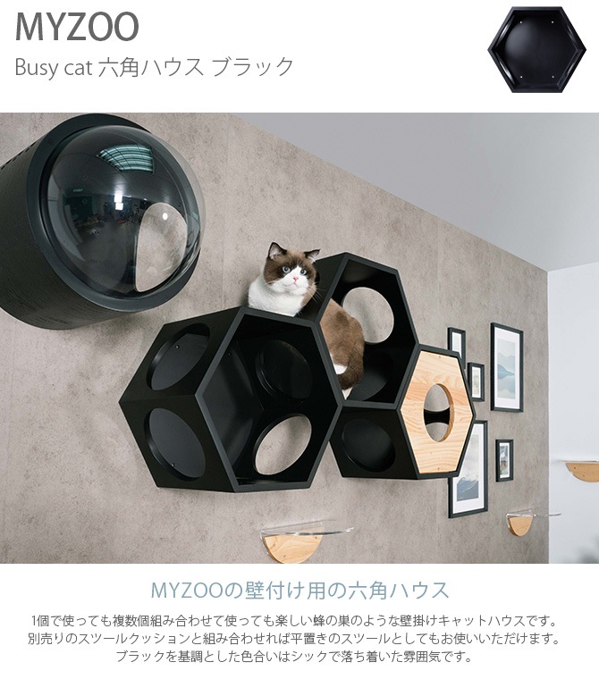 MYZOO �ޥ����� Busy cat ϻ�ѥϥ��� �֥�å�