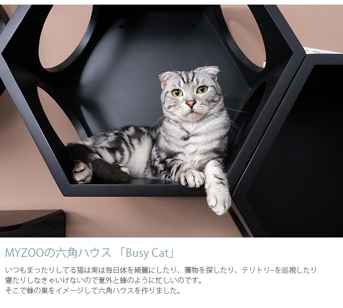 MYZOO �ޥ����� Busy cat ϻ�ѥϥ��� �֥�å�
