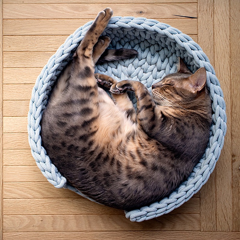 necono �ͥ��� ǭ�Υ٥å� Dress UP Cat Bed