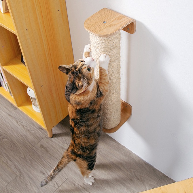 MYZOO �ޥ����� CYLINDER �ޤȤ��ݡ���