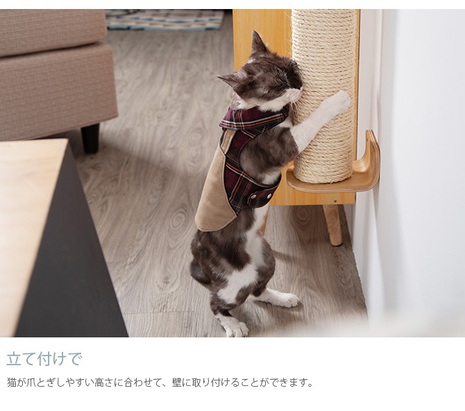 MYZOO �ޥ����� CYLINDER �ޤȤ��ݡ���