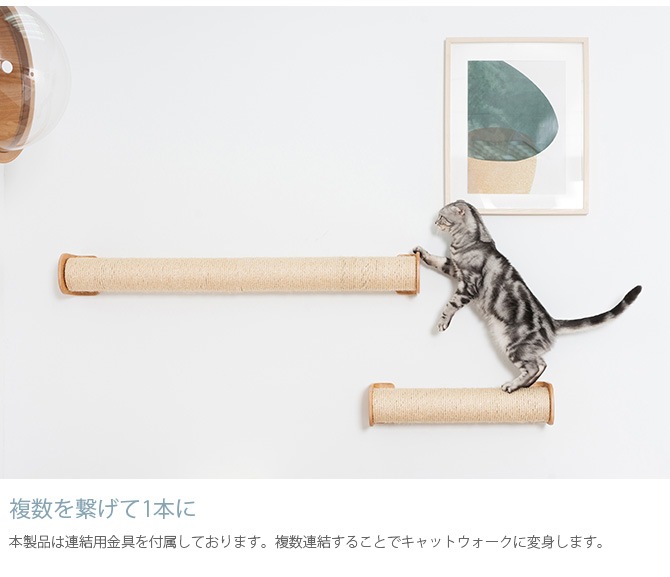 MYZOO �ޥ����� CYLINDER �ޤȤ��ݡ���