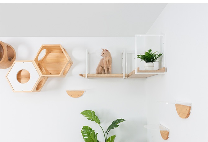 MYZOO �ޥ����� AVENUE 60cm