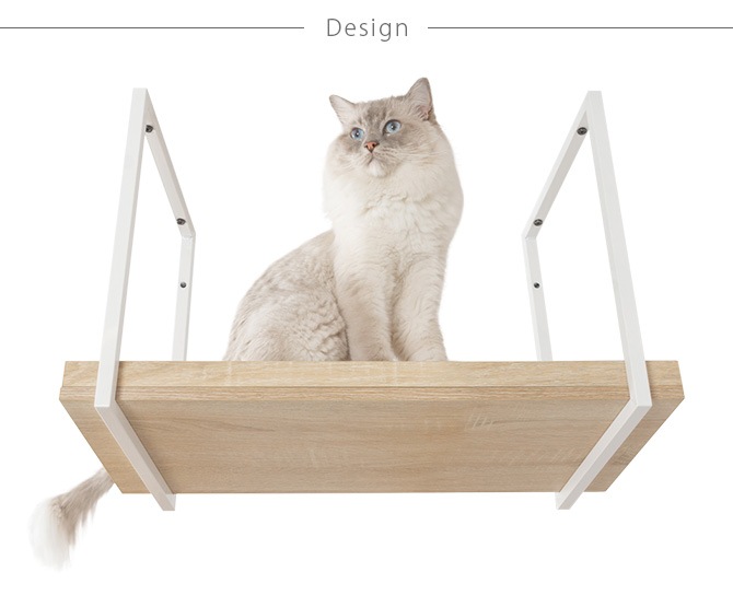 MYZOO �ޥ����� AVENUE 60cm