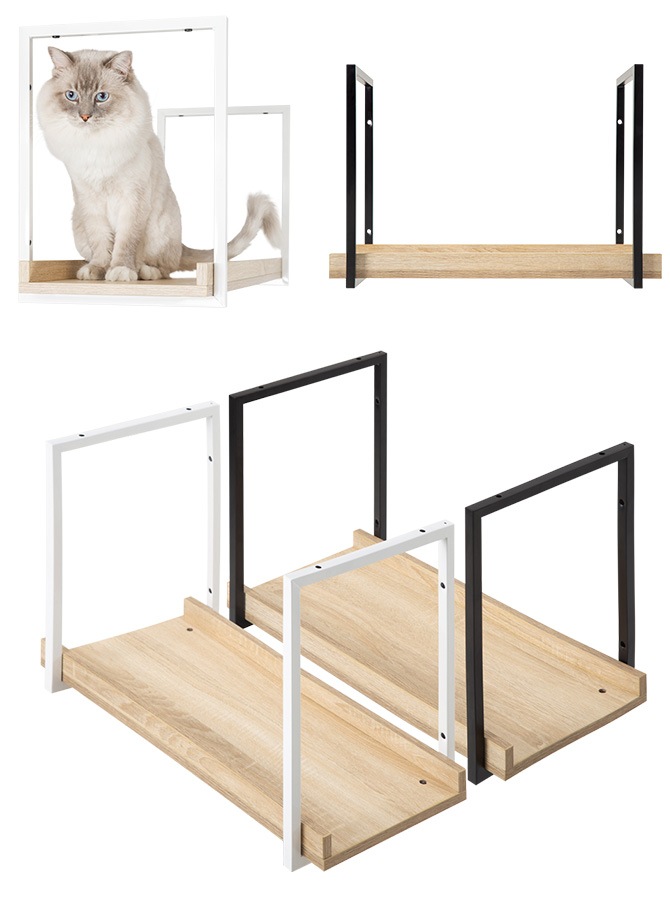 MYZOO �ޥ����� AVENUE 60cm