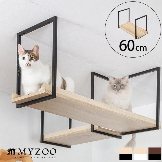 MYZOO �ޥ����� AVENUE 60cm