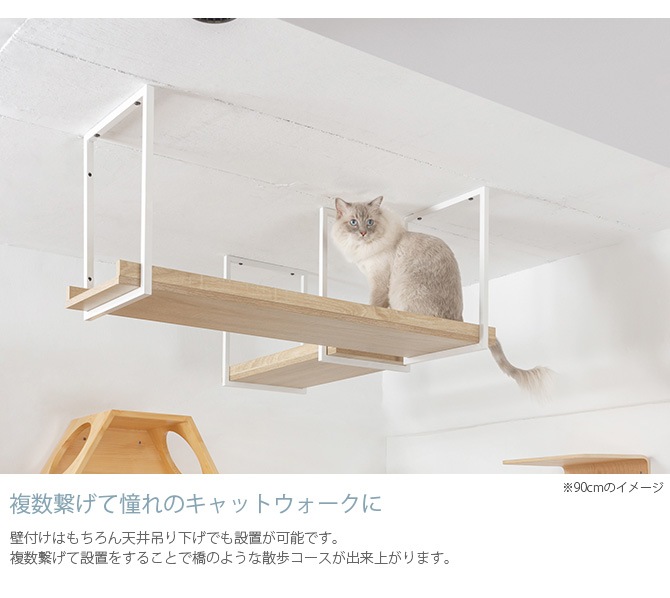 MYZOO �ޥ����� AVENUE 60cm