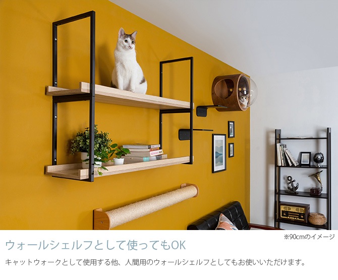 MYZOO �ޥ����� AVENUE 60cm