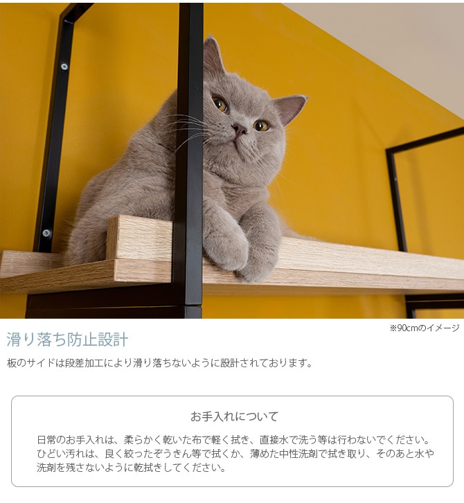 MYZOO �ޥ����� AVENUE 60cm