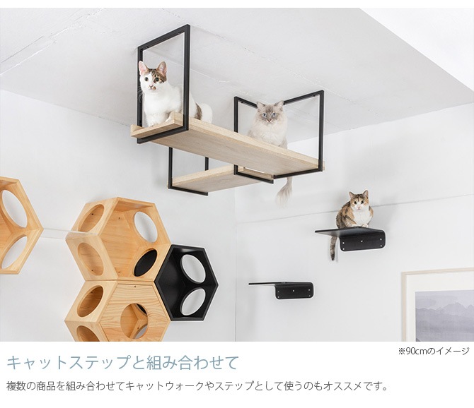MYZOO �ޥ����� AVENUE 60cm