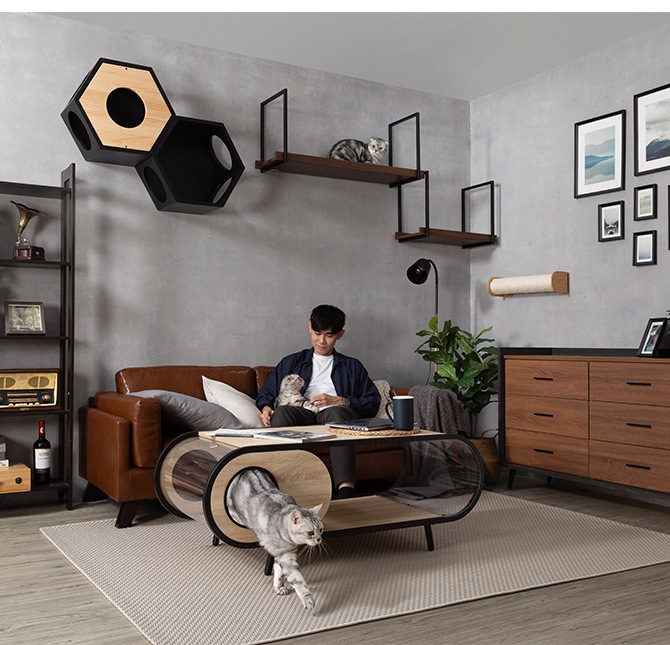MYZOO �ޥ����� AVENUE 60cm