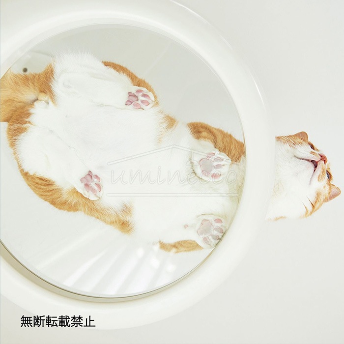 OPPO ���å� Clear Shelf ���ꥢ�������