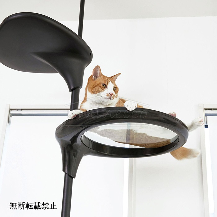 OPPO ���å� Clear Shelf ���ꥢ�������