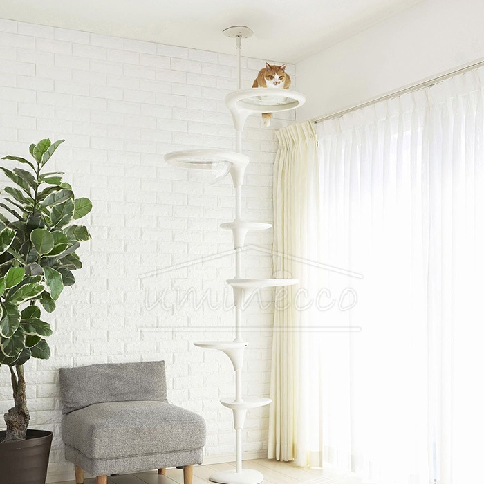 OPPO ���å� Clear Shelf ���ꥢ�������