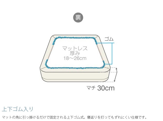 Fab the Home �ե��֥��ۡ��� �ܥå��������� ���������� �ե����󥳥åȥ� Egyptian