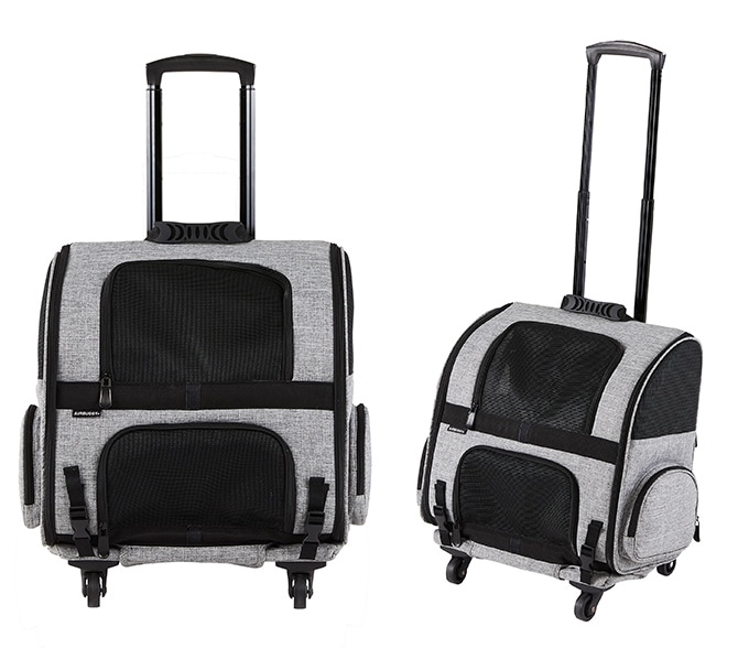 AIR BUGGY �����Х��� FITT