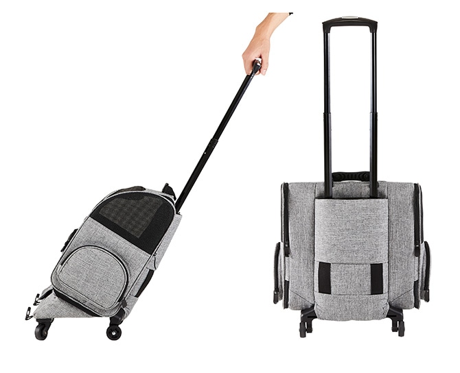 AIR BUGGY �����Х��� FITT