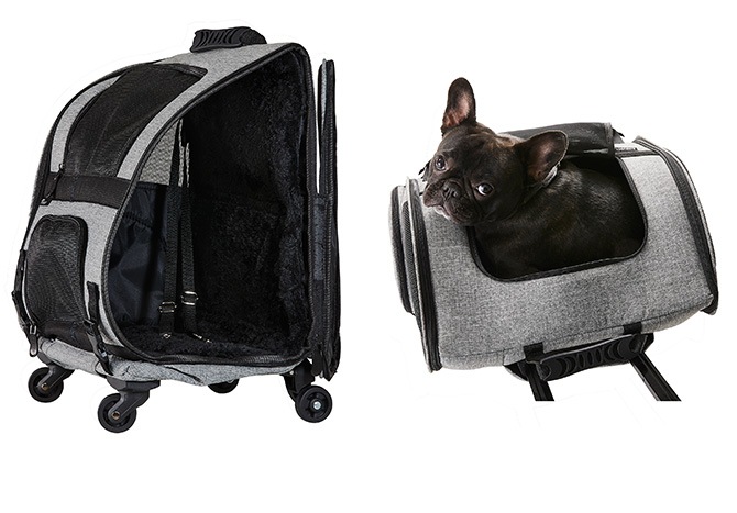 AIR BUGGY �����Х��� FITT