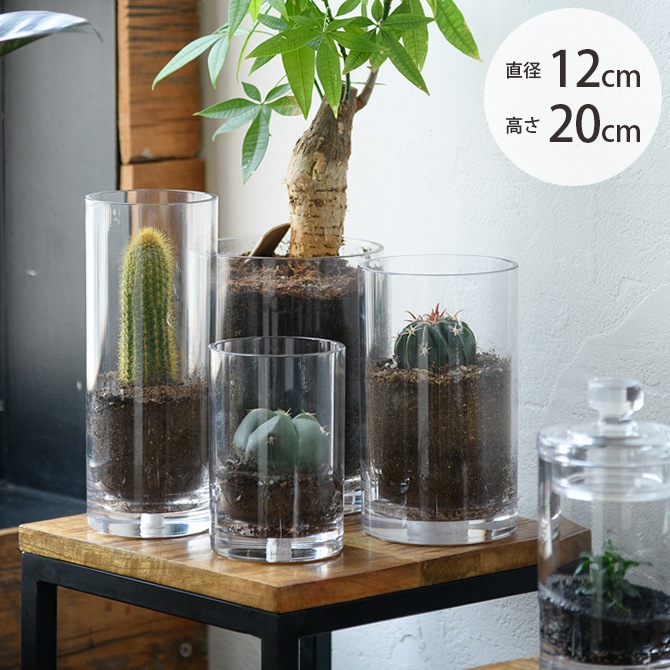 FOYER ホワイエ PVシリンダー 直径12cm×高さ20cm | 商品種別,グリーン