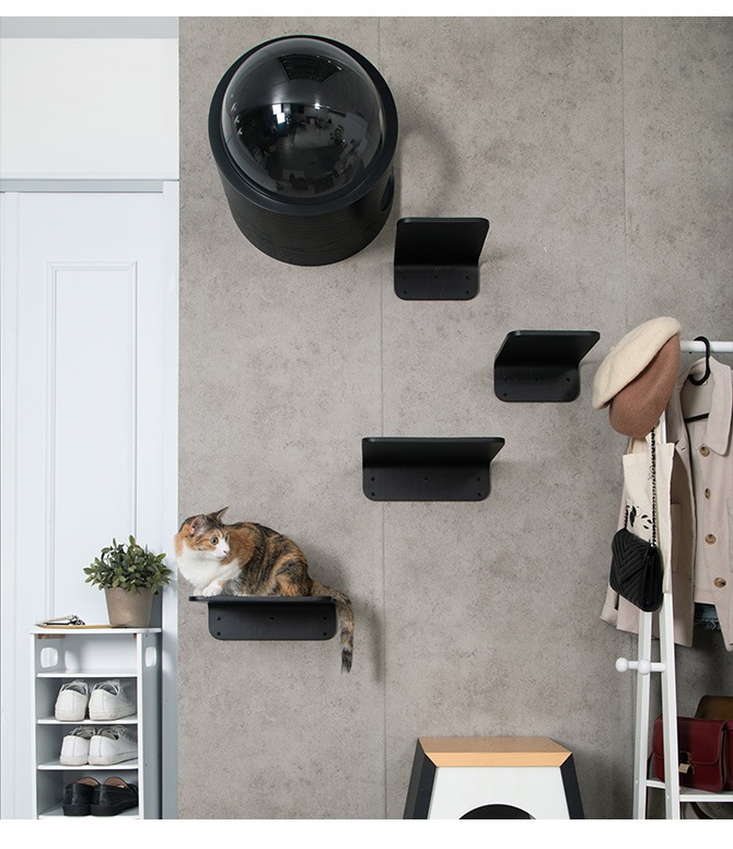 MYZOO �ޥ����� Lack M ����åȥ��ƥå� ��å� M 2�祻�å� �֥�å�