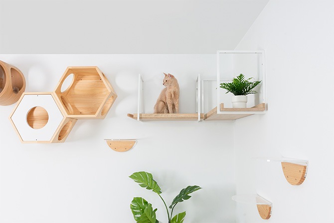 MYZOO �ޥ����� AVENUE 100cm