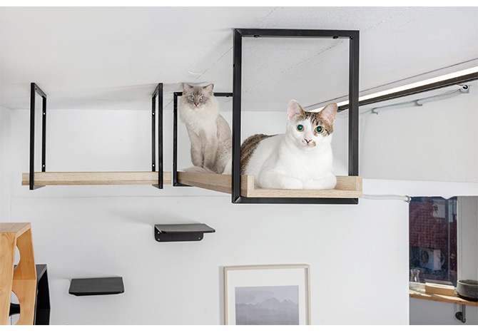 MYZOO �ޥ����� AVENUE 100cm