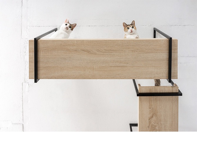 MYZOO �ޥ����� AVENUE 100cm
