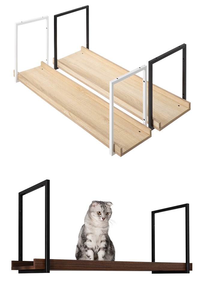 MYZOO �ޥ����� AVENUE 100cm
