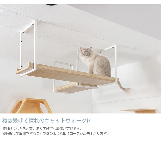 MYZOO �ޥ����� AVENUE 100cm
