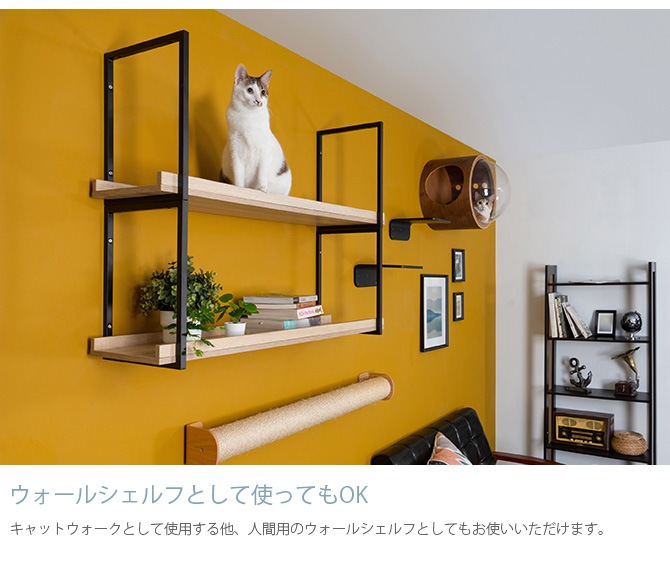 MYZOO �ޥ����� AVENUE 100cm