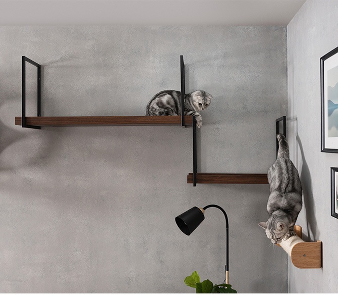 MYZOO �ޥ����� AVENUE 100cm