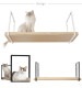 MYZOO �ޥ����� AVENUE 100cm