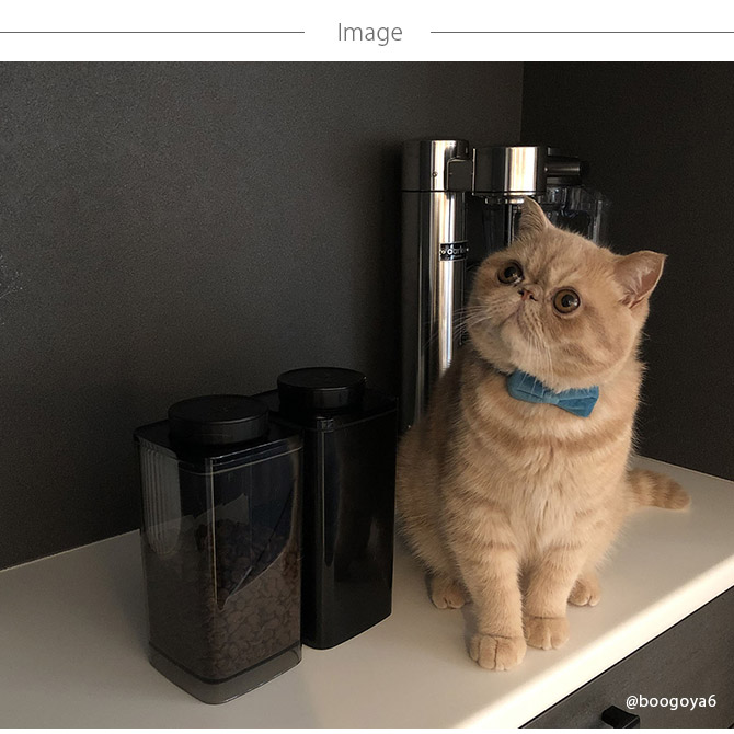 ANKOMN ���󥳥�� ������¸�ƴ� �����󥷡��� 1.2L