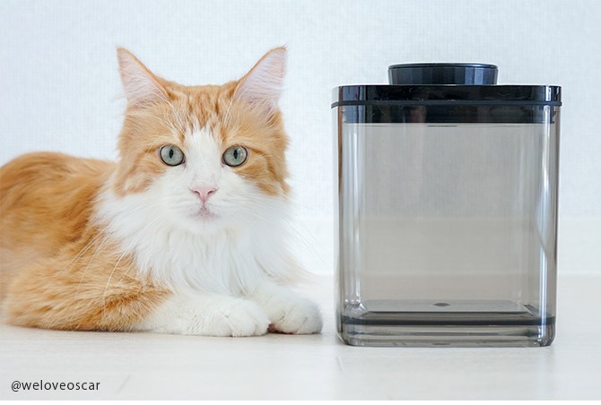 ANKOMN ���󥳥�� ������¸�ƴ� �����󥷡��� 1.2L